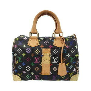 Louis Vuitton Multicolor Speedy Handbag